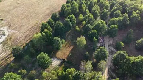 Klatka kluczowa-572348