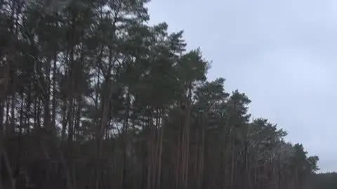 Każdego dnia czują strach i lęk