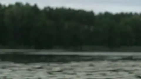 INSERT HARCERZ ZHR DYREKTOR popr napisy