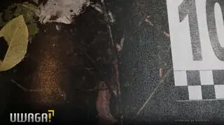 Ilona S. została uniewinniona od zabójstwa męża. Teraz sąd uchylił decyzję, a proces ruszy ponownie