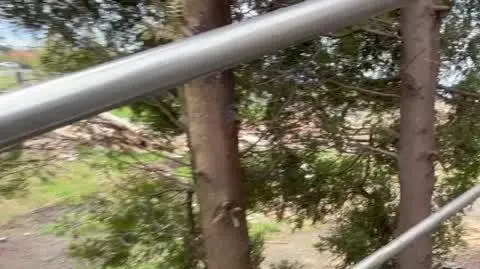 Tragiczny pożar w Pszowie