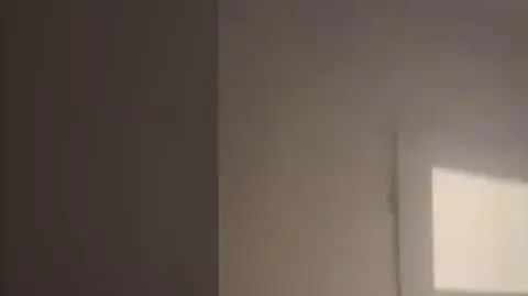 BOI SIE BAKTERII net