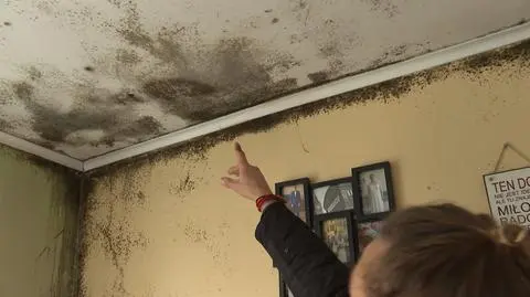 Grzyb, pleśń i lejąca się woda z sufitu