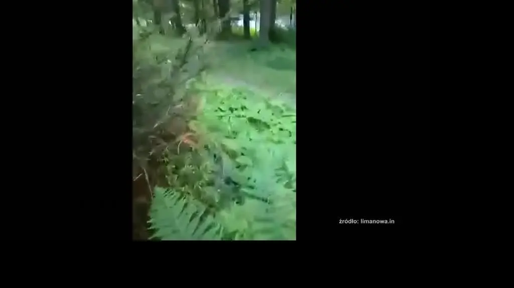 Tajemnica śmierci w Starej Wsi
