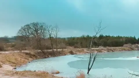 „Zarzut jest nielogiczny”