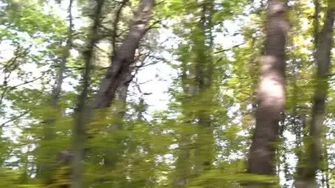 Obława za podejrzanym o zabicie syna