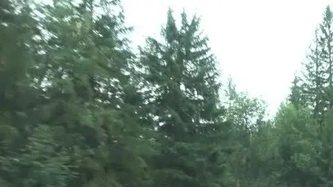Tragedia w Białym Dunajcu