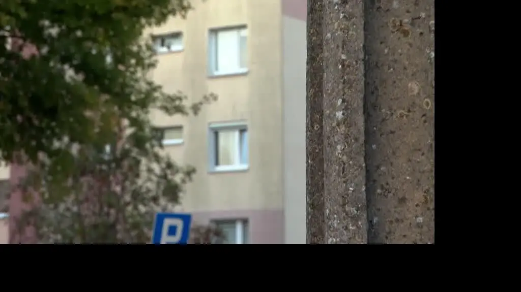 Nie żyje roczny Grześ z Bydgoszczy