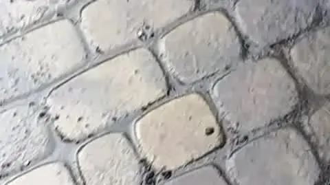 ZAJAWKA KARNY KOPCIUCH