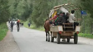 Czy konie dalej będą wozić turystów do Morskiego Oka? „Transport w tej formule nie przetrwa”