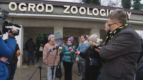 Dyrektorka zoo w Poznaniu z poważnymi zarzutami