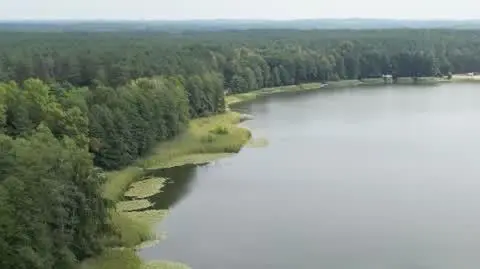 „Łoś konał w męczarniach”