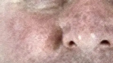 TAJEMNICA JACKA JAWORKA ZAJAWKA v3