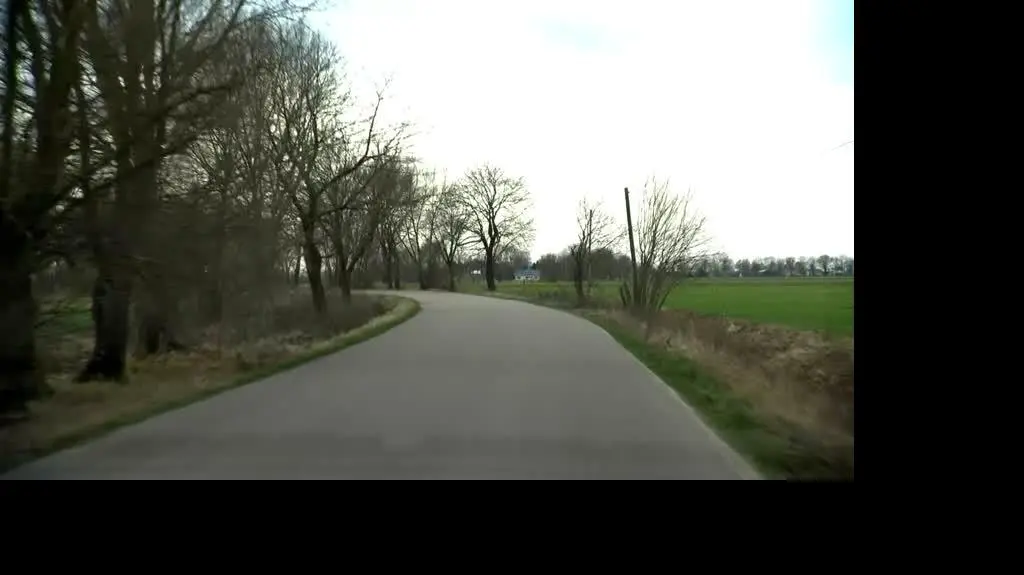 Szokujący atak na drodze