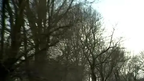 Szokujący atak na drodze