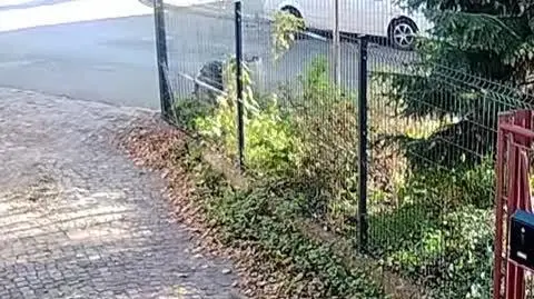 Rękoczyny i groźby