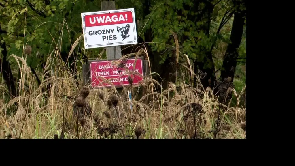 Tragedia pod Zieloną Górą