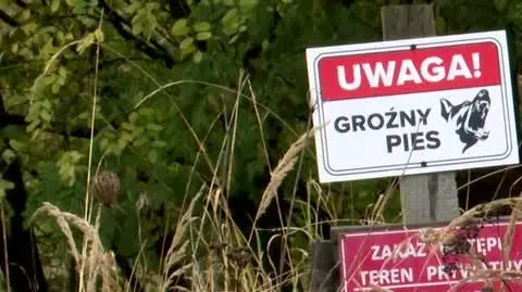 Tragedia pod Zieloną Górą