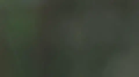 ZAJAWKA 14 LATKI BIJA