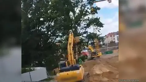 Stuletnie dęby wycięte przez dewelopera