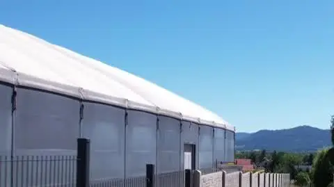 Betonowy mur niezgody