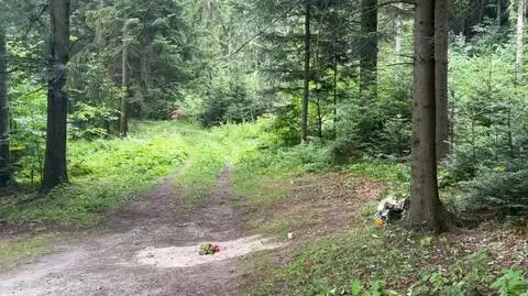 Stara Wieś pod Limanową