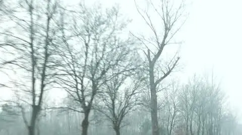 Usłyszeli, że mają się pożegnać z mamą