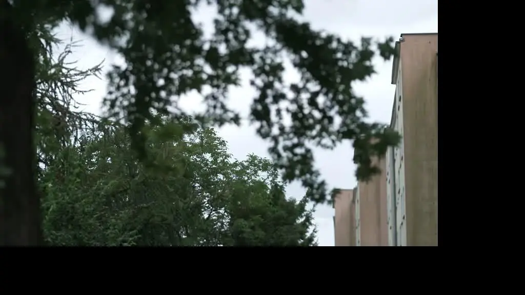 Rodzinny dramat przy odebraniu dziecka