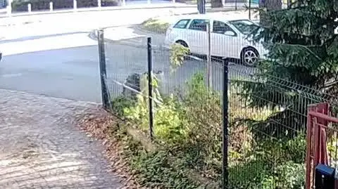 Rękoczyny i groźby