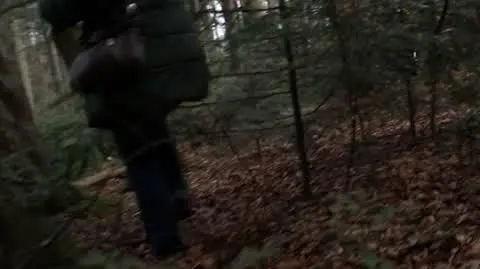 konające zwierzęta