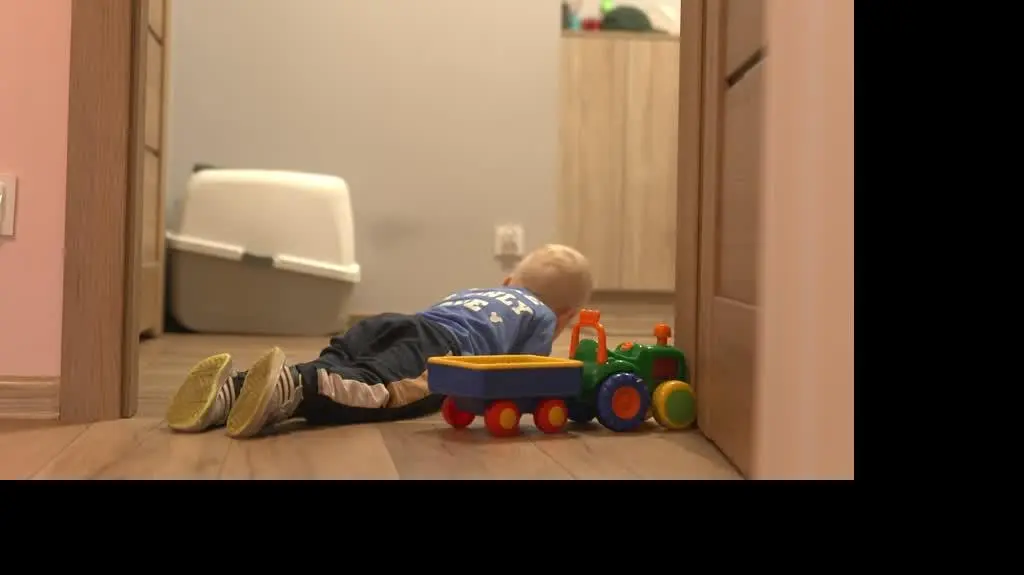 ZAJAWKA FUNDACJA SZYMON