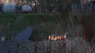 Zabójstwo 11-latki w Jeleniej Górze. Co mogło być motywem?