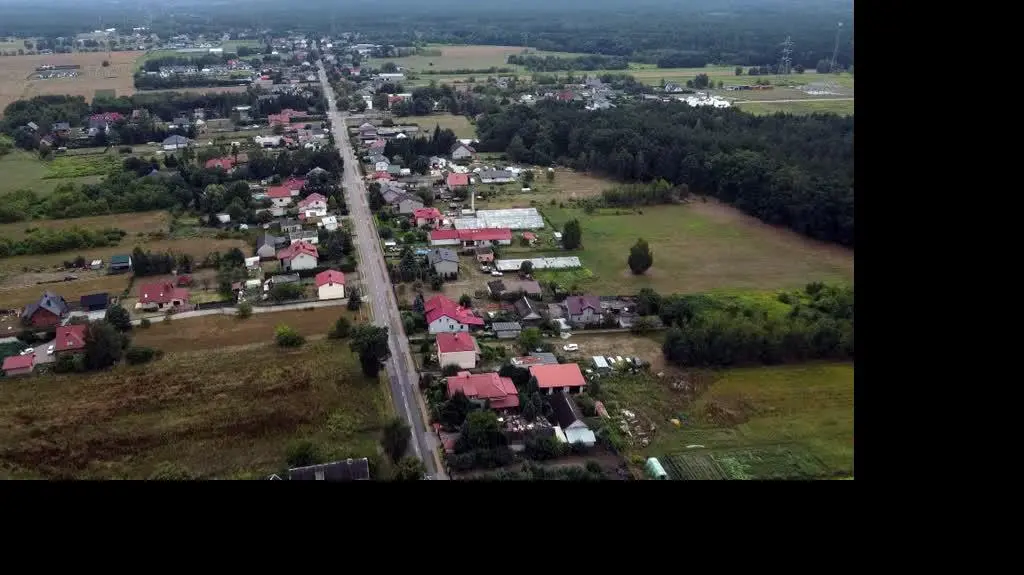 PSY NA LANCUCHACH ZAJAWKA