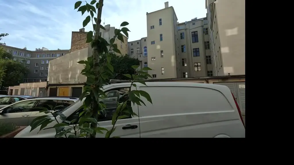 Co to jest syllogomania?