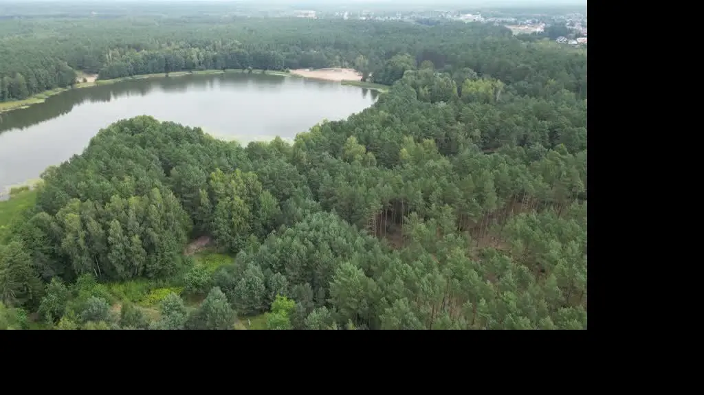 Ogrodzenie, które zabija