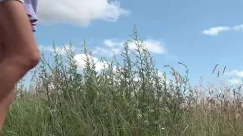 DPS piątek net