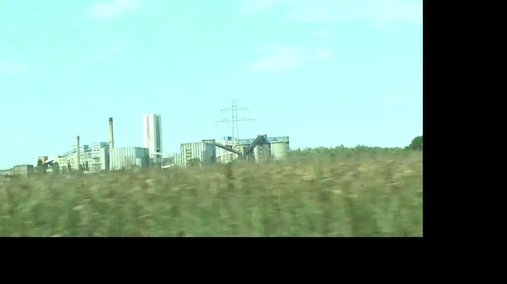 Tony śniętych ryb