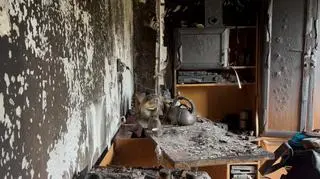 Pięć osób zginęło w pożarze w Pszowie. Czy tragedii można było zapobiec? 