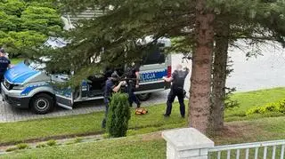 Obława w Starej Wsi pod Limanową