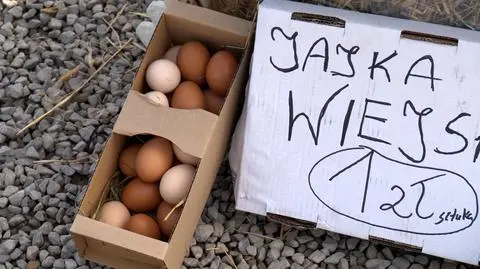 Czym się kierować przy wyborze jajek?