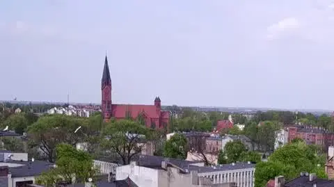 ZAJAWKA ZABITY PARALIZATOREM