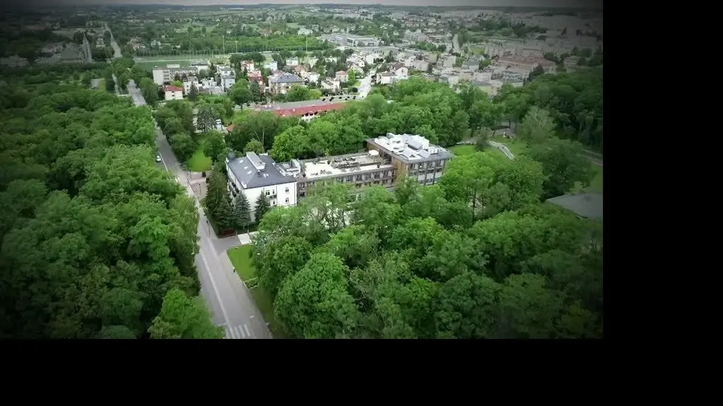 Wypadek w cyrku
