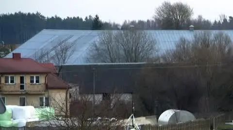 Rodzeństwo brutalnie znęcało się nad psem