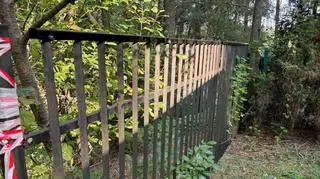 Udało się! Przełom w sprawie niebezpiecznego ogrodzenia, na którym w męczarniach zginął łoś