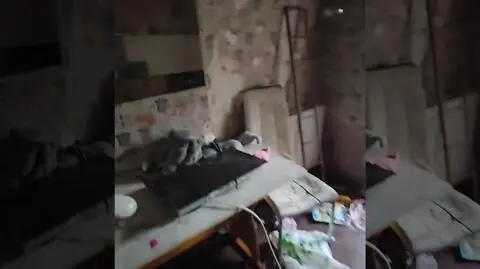 Brud, demolka, internetowy donos i... matka z czwórką dzieci