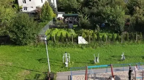 8 DZIECI internet