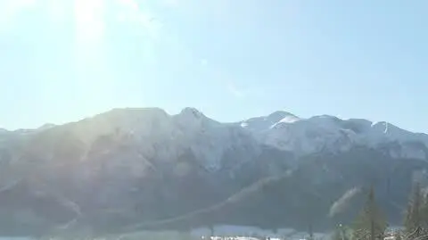 ZAJAWKA FERIE