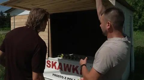 Wojna truskawkowa. "Oblano nam stoisko kwasem masłowym"