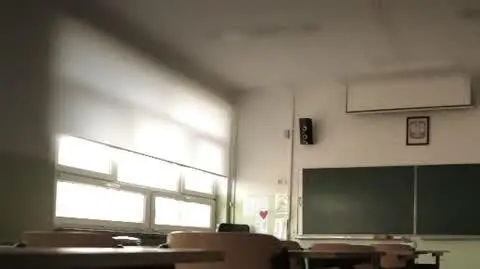 ZAJAWKA FEJKOWE TERAPIE net