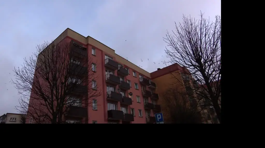 Niepełnosprawne dzieci potraktowali jak zdrowe